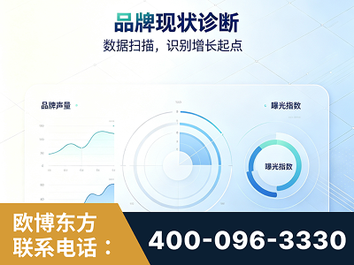 天水-品牌现状诊断